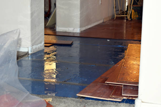 Professional Sewage Cleanup technician working in Lansing, IL